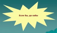 Палкомірка