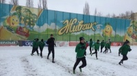 Оболонь-Бровар підписав першого канадця в історії українського чемпіонату