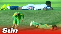 Бешеные пчелы и другие нарушители футбольного порядка