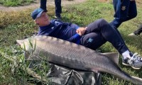 Рост как у Михайличенко. Тренеры «Динамо» поймали огромного осетра