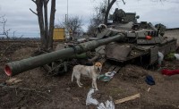 Ще 200 поїхали додому. Нові дані Генштабу ЗСУ про втрати росіян у війні з Україною