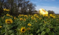Майже шість сотень особового складу. Генштаб опублікував втрати росіян за 27 листопада