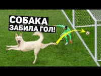 Крутые голы, забитые не футболистами