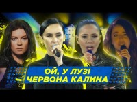 Ой, у лузі червона калина. Легендарна пісня на матчі Клуж – Динамо