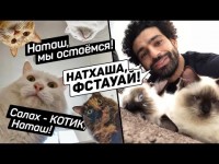 Домашние животные футболистов